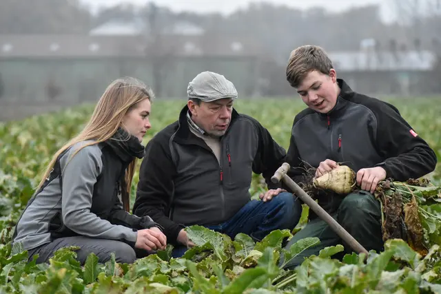 In der Landwirtschaft werden Auszubildende gesucht, zum Beispiel als Landwirt/Landwirtin in einem Ackerbaubetrieb | Foto: Teichler/Landwirtschaftskammer Niedersachsen