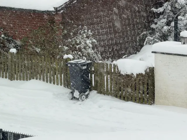 Wegen des winterlichen Wetters wurden viele Mülltonnen im Landkreis  nicht geleert | Foto: Daniel Beneke/Landkreis Stade