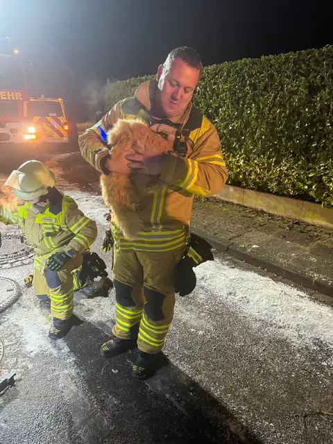 Ortsbrandmeister Jörg Bastian mit der geretteten Katze | Foto: Feuerwehr 