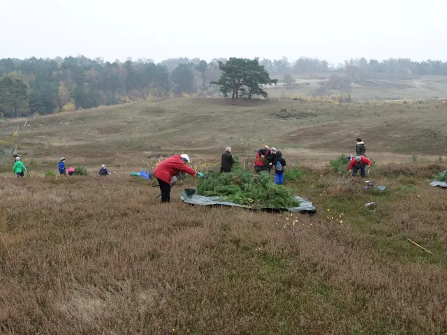 Einzigartige Heidelandschaften wie hier in der Wulmstorfer Heide brauchen kontinuierliche Pflege | Foto: Landkreis Harburg