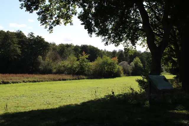 Fertig renaturiert: Das Brettbachtal taugt nicht mehr als Ausgleichsfläche | Foto: Archiv/pöp