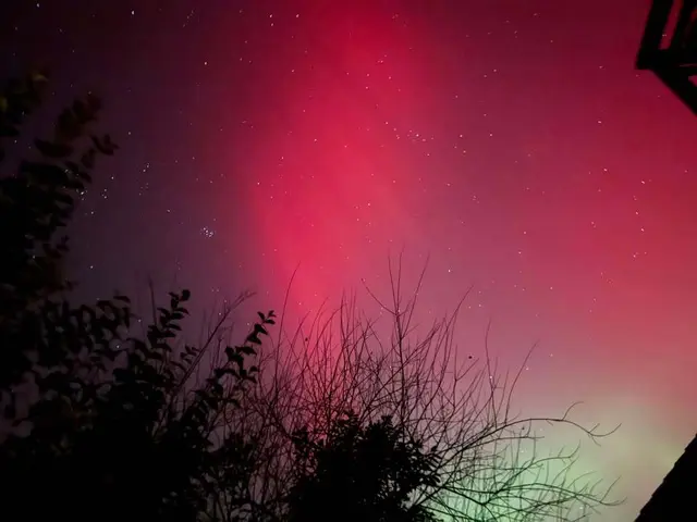 Foto: Claudia Prondzinski