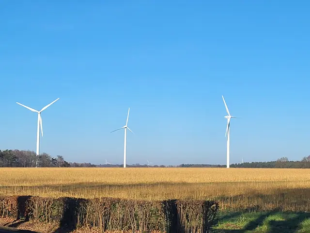 In Ochtmannsbruch sollen zwei Windräder gebaut werden, die jeweils 250 Meter hoch werden sollen. Hier der Blick auf Windräder in Wüstenhöfen in Blickrichtung Ochtmannsbruch | Foto: sh