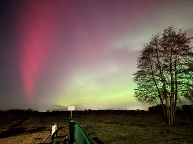Am Himmel über Buxtehude waren die Polarlichter gut zu sehen | Foto: Steve Tille
