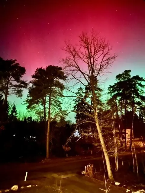 Foto: Dennis Pientak