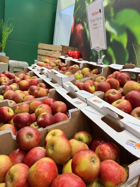 Foto: Landkreis Stade