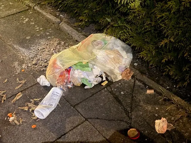 Winsen: Der Inhalt des Gelben Sackes ist auf dem Fußweg verstreut | Foto: Marco Ewald