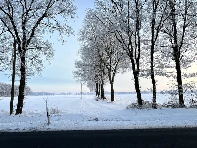  Für die nächste Woche haben die Wetterdienste wieder Schneefall angekündigt | Foto: Landkreis Stade / Daniel Beneke