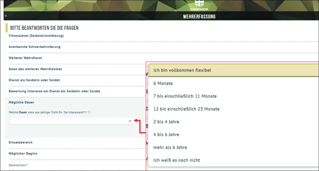 Eine Seite des offiziellen Fragebogens der Wehrerfassung, zu finden auf der Homepage der Bundeswehr | Foto: Kopie des_BW_Fragebogens_jvp