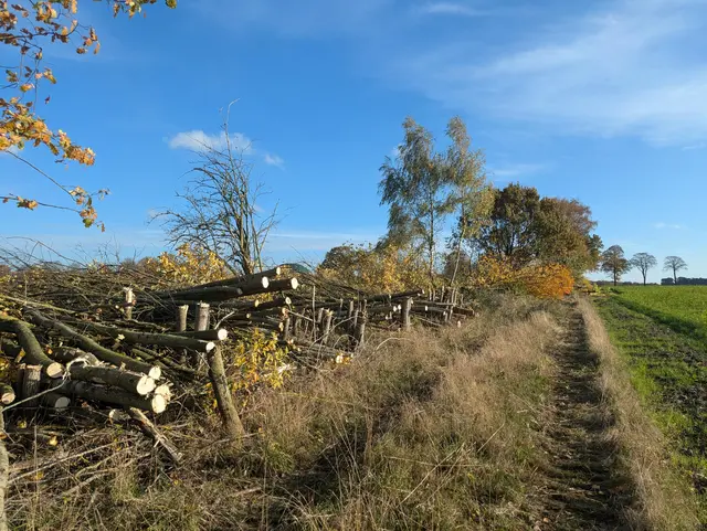 Brackeler Straße nach Pflegemaßnahmen | Foto: Gemeinde Seevetal