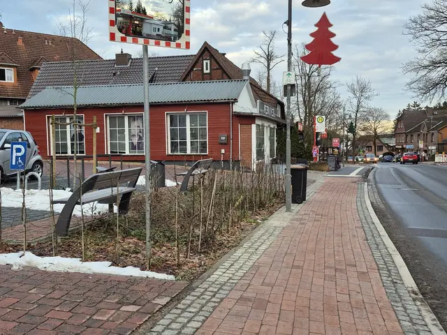 Noch ist die Häcke zwischen Bänken und Hauptstraßenfußweg licht. Später soll sie Verkehrslärm dämpfen und Sichtschutz liefern | Foto: pöp