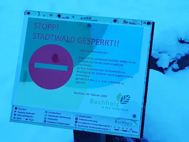 Mit diesem Bild weist die Stadt Buchholz auf die Sperrung des Stadtwaldes hin | Foto: Stadt Buchholz