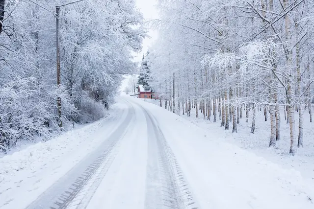  Ab Mittwoch, 11. Februar wird im Revier Rüstje/ Harsefeld der Mühlenbachweg instand gesetzt | Foto:  Juhku/Adobe Stock