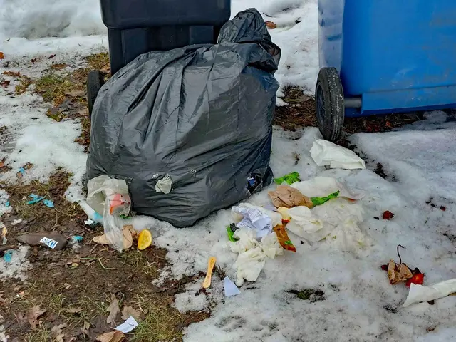 Hausmüll in Buchholz: Rabenvögel haben Löcher in diesen Müllsack gepickt, der Unrat wird in der Gegend verteilt | Foto: Hans-Joachim Kriese