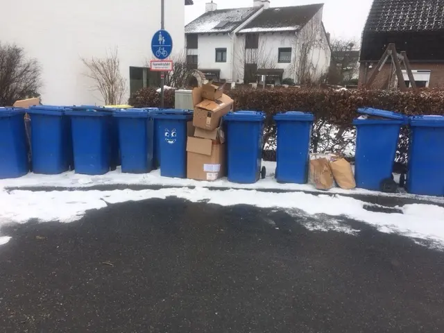 Diese lange Reihe Blauer Papiertonnen steht in Meckelfeld | Foto: Peter Albrecht