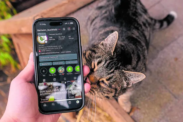 Neuheiten direkt aufs Smartphone - das Tierheim Buchholz macht's möglich | Foto: Tierheim Buchholz