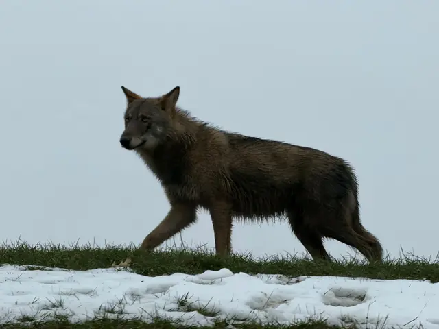 Foto: Bildrechte: Monitoring