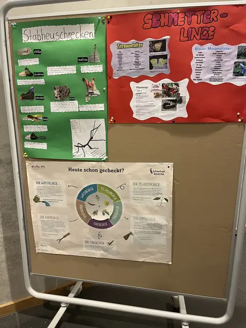 Schaubilder der Insekten AG | Foto: Sandra Polenz