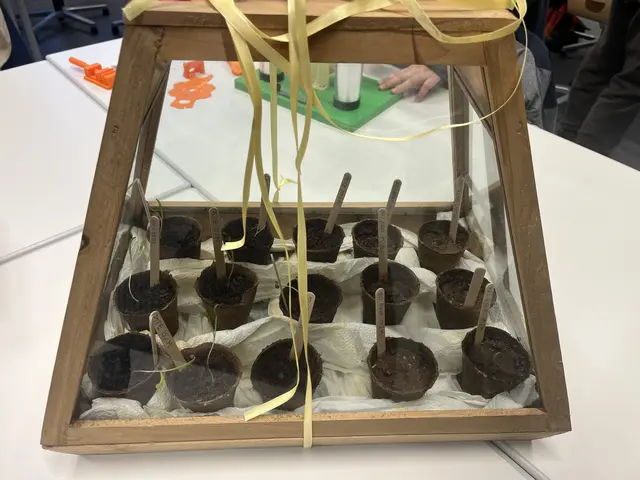 So gedeiht Spinat auf nachempfundener Marserde | Foto: Sandra Polenz