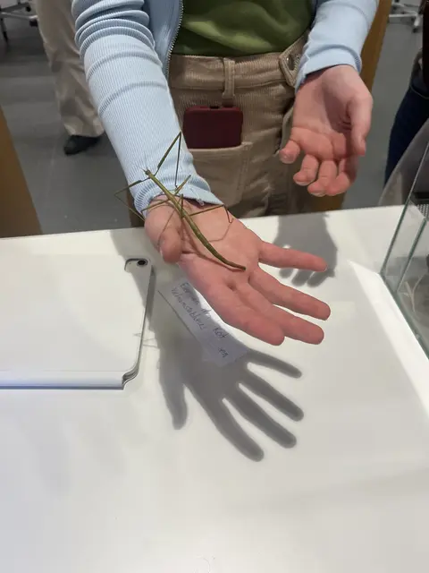 Insekten-Freunde kommen an der HPS auf ihre Kosten | Foto: Sandra Polenz