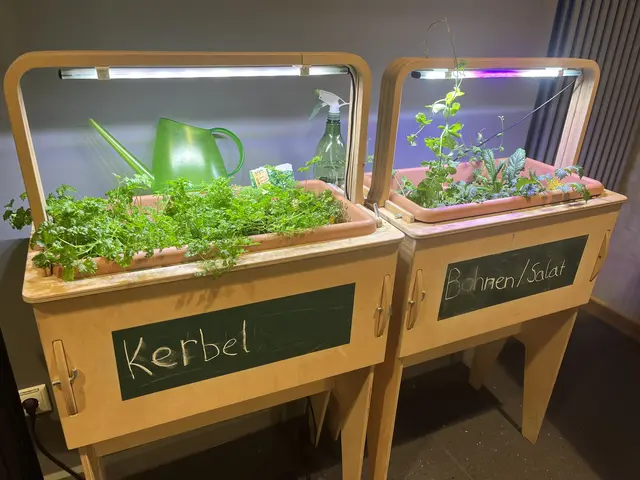 Die HPS zeigt sich grün | Foto: Sandra Polenz