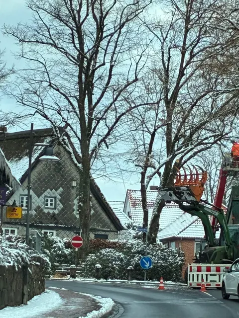 Ein Ärgernis für die Geschäftsleute im Ortskern: Wegen Baumfällarbeiten musste am Valentinstag die Durchfahrt gesperrt werden  | Foto: Kerstin Witte