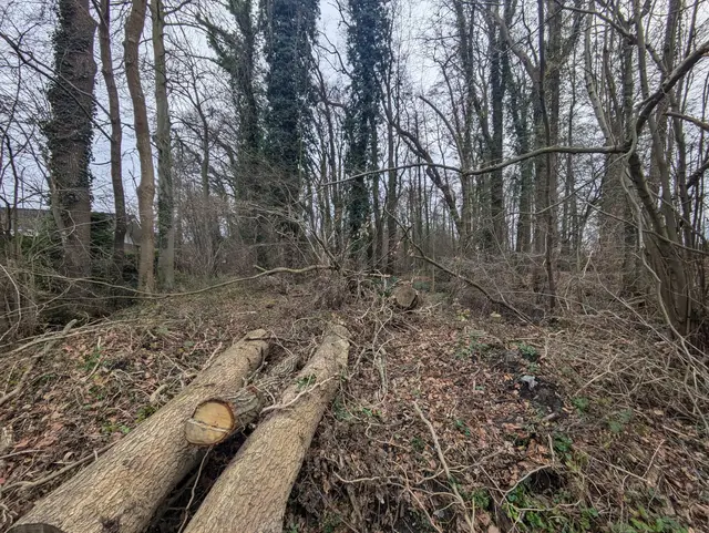 Symbolbild  | Foto: Gemeinde Seevetal