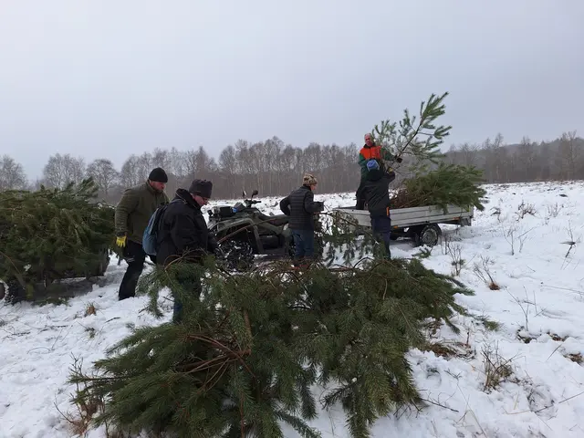 Jagdpächter helfen mit ihren Quads Kiefern-Jungwuchs auf eine Fläche der Umweltstiftung des Lions-Clubs Stade zu bringen, wo sie eine Pflanzung eines Windschutzes vor Verbiss schützen sollen | Foto: ÖNSOR, I. Gerlach