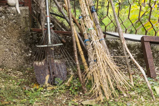 Laub, Äste und Rasenschnitt können im Landkreis Harburg künftig auch an einer neuen Annahmestelle in Buchholz abgegeben werden | Foto: Freepik