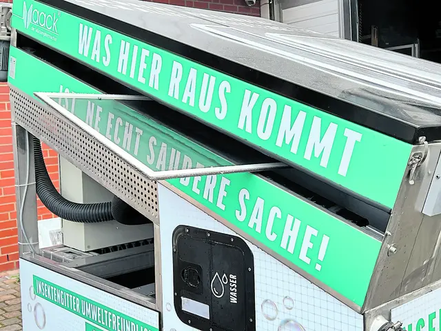 Am Aktionstag werden Insektenschutzgitter sofort gereinigt | Foto: Maack