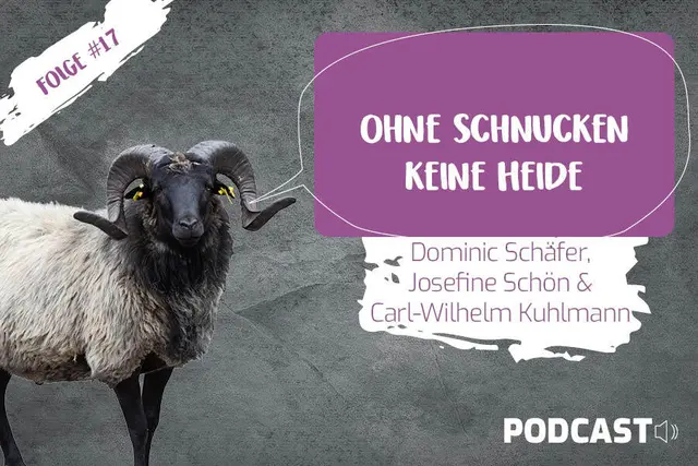 Podcast HEIDE Geflüster  | Foto: Lüneburger Heide GmbH