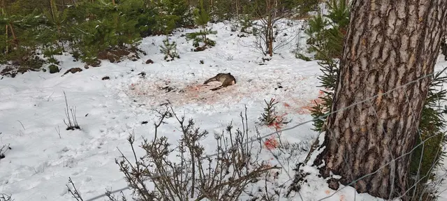 Foto: Bilder: Ossenbrügge