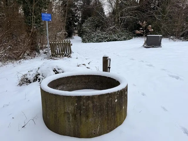 Der Brunnen wurde wahrscheinlich schon länger nicht mehr genutzt | Foto: Malte Neumann