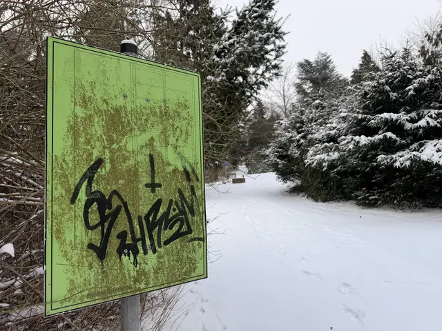Das Schild zeigt den Lageplan des Friedhofes. Unter dem Dreck und den Graffiti ist allerdings nichts mehr zu erkennen | Foto: Malte Neumann