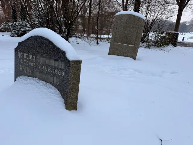 Grabsteine auf dem Friedhof Hohenwedel. Die Steine werden bei der Umgestaltung zu einer Grünanlage abgeräumt | Foto: Malte Neumann