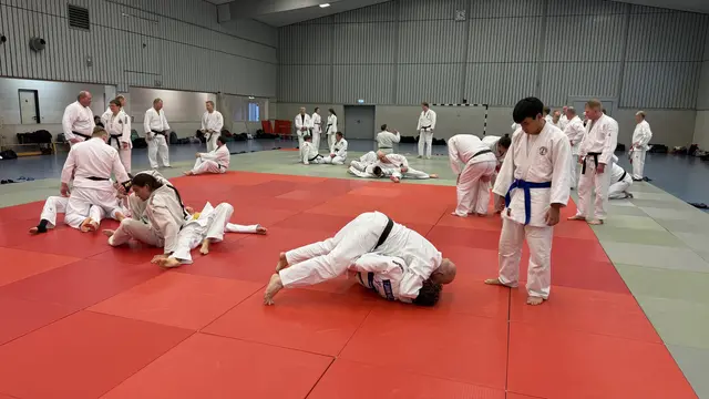 Die Teilnehmenden haben die gezeigten Techniken gleich eingeübt und sehr gut umgesetzt. | Foto: Jan Eggert, MTV Ramalesloh