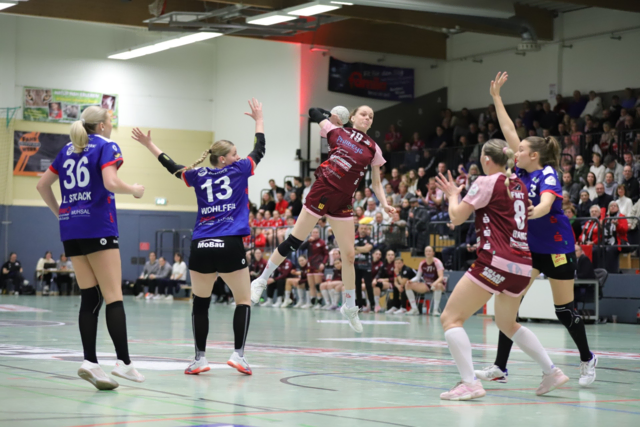 Die Luchse zeigten ein konzentriertes Spiel und gewannen verdient gegen Rostock | Foto: Katja Hinrichs