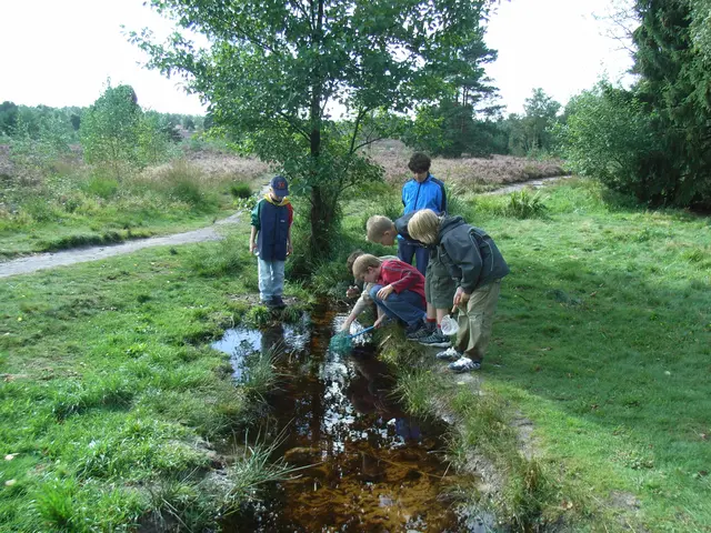 In der neuen Kindergruppe vom BUND lernen die Kinder, die Natur zu schützen | Foto: BUND RV Elbe-Heide
