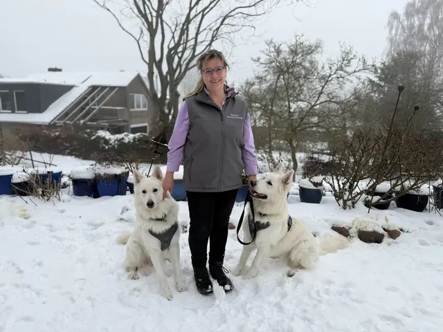 Gemeinsam im Einsatz für Nähe und Vertrauen: Gabriele Staatz-Duckert mit ihren Therapiebegleithunden Cerberus und Herkules | Foto: tml