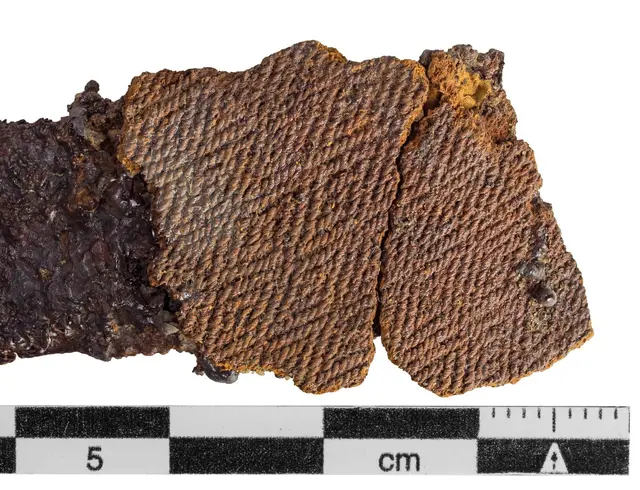 Eisenfragment aus einem Grab in Neu Wulmstorf-Elstorf: Durch Rost konserviertes Gewebe liefert seltene Einblicke in das Alltagsleben im Frühmittelalter | Foto: Torsten Weise / Archäologisches Museum Hamburg