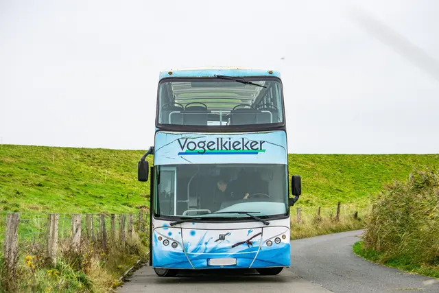 Der Reisebus | Foto: SMTG