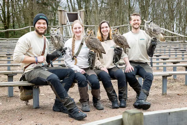 Das Wildpark-Falkner-Team Michael Kirchner (v. re.),
Lucia Barrios Jiménez, Maibrit Johannsen und Mirko Janssen
freut sich darauf, ihre vier Virginia-Uhus in der Flugshow
präsentieren zu können | Foto: Wildpark/Thomas 