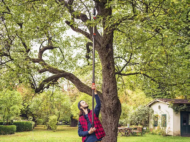 Schnitte können bei Gefahr durch herabfallende Äste auch noch im März ausgeführt werden | Foto: Gardena