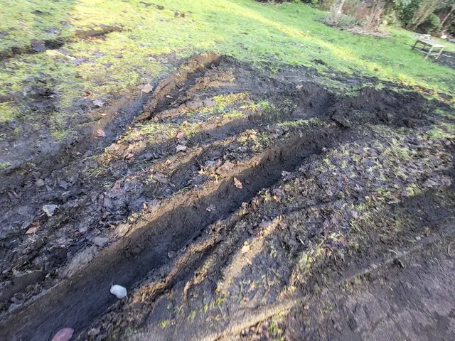 Die Wiese ist hinüber