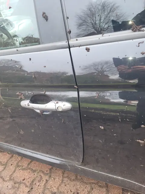 Die angrenzenden Autos mit Schlamm verdreckt