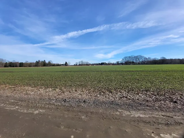 Wiese und Ackerfläche - hier im Dreieck Bremer Straße/B75 könnten nach Plänen der Stadt Buchholz in den nächsten Jahren bis zu 2.000 Menschen ein Zuhause finden | Foto: sh