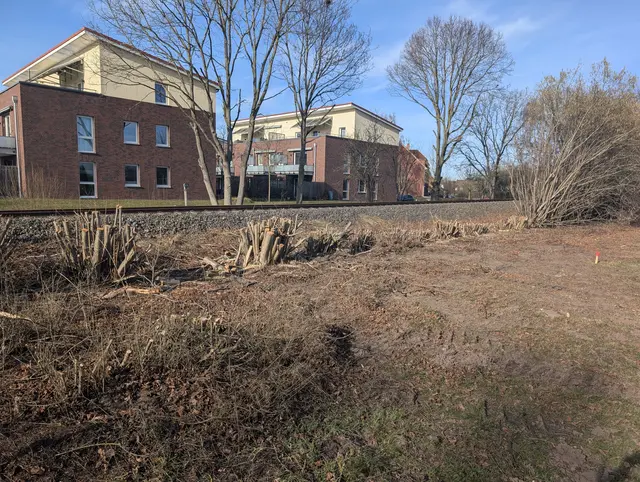 Kahlschlag zum Ärger der Anwohner: Hier entsteht demnächst ein neues Pumpwerk zur Schmutzwasserbeseitigung | Foto: Jan Filter
