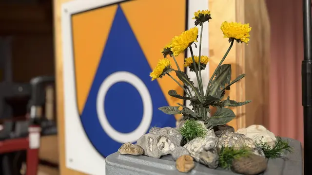 Symbol für Resilienz: Ein Löwenzahn, der sich durch Asphalt kämpft, griff das Motto des Frühjahrsempfangs der Gemeinde Neu Wulmstorf auf | Foto: tml