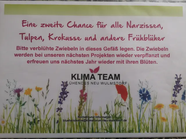 Hinweis auf die Blumenzwiebel-Rettungsaktion des Klima-Teams „Blühendes Neu Wulmstorf“ | Foto: PR KlimaForum Neu Wulmstorf