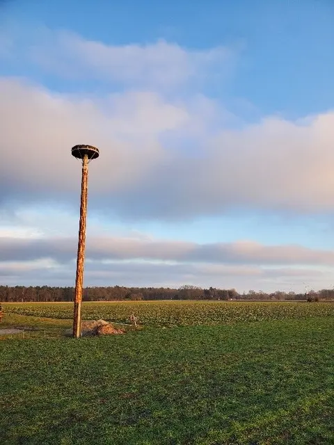 Für den Bau des Storchennestes in Ahrensmoor hat die Dorfgemeinschaft insgesamt eine Woche benötigt | Foto: Stadtmarketing Harsefeld